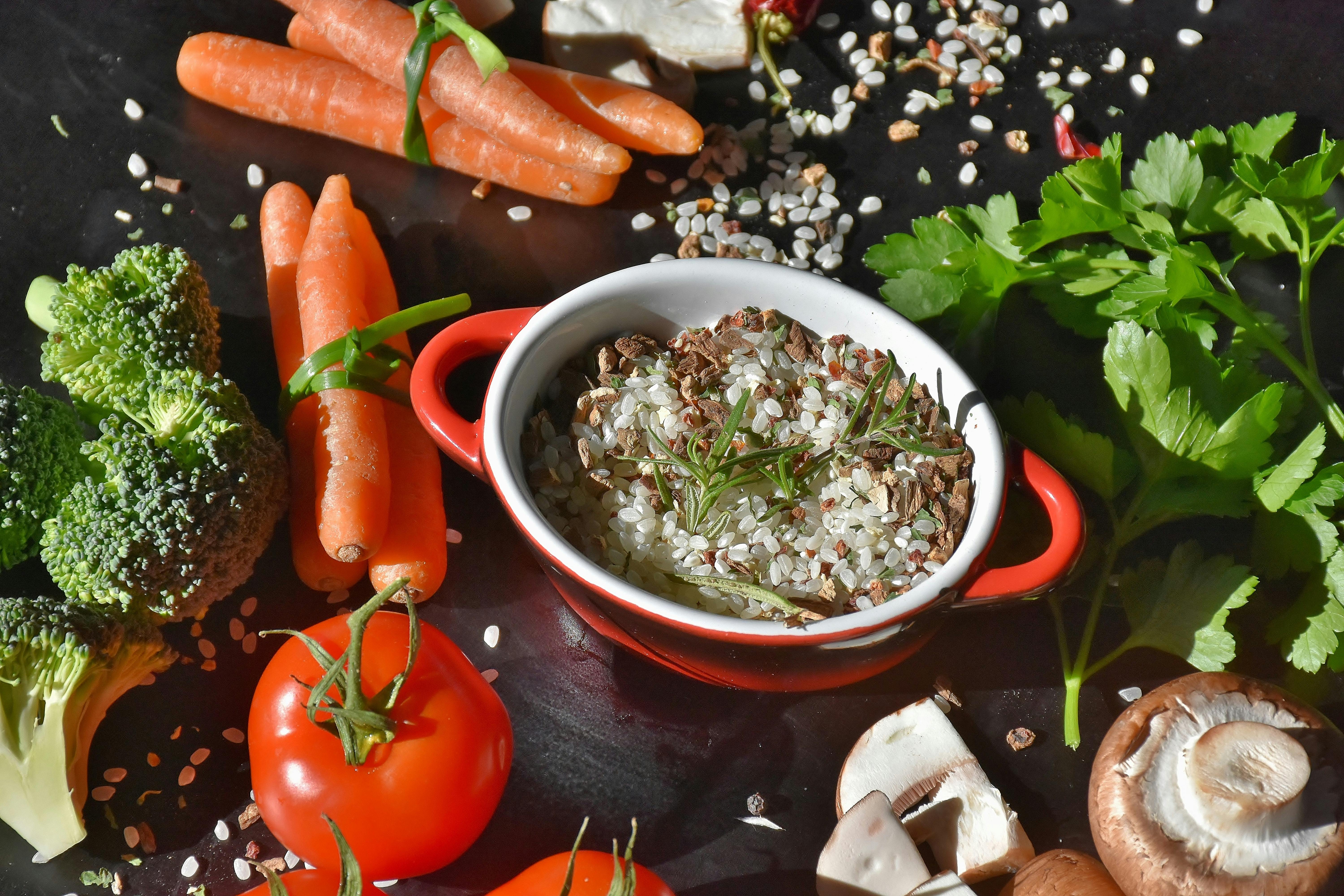 Effective Ways to Include Avocado in Your Carnivore Diet in 2025