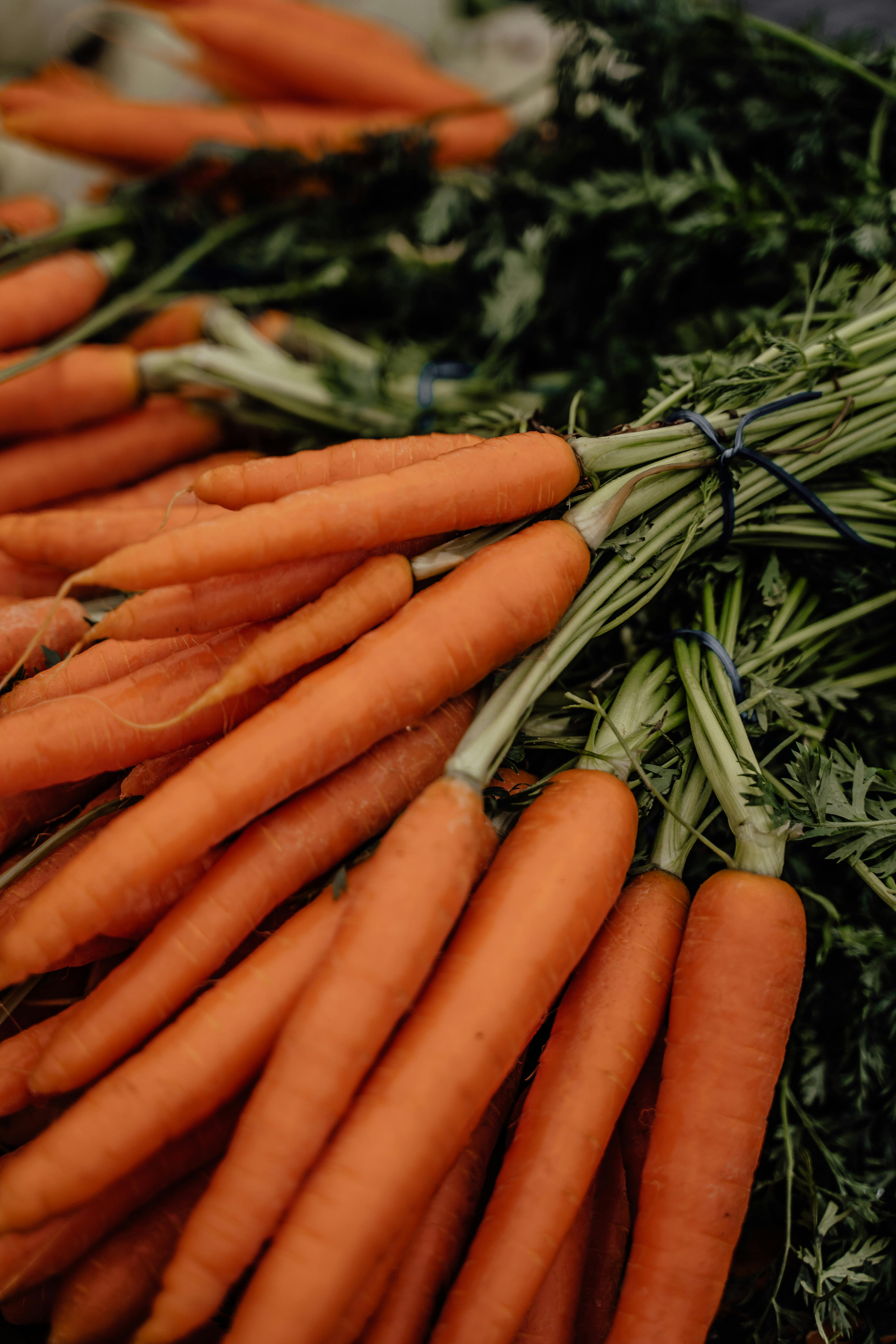 Effective Ways to Achieve 5:2 Diet Results in 4 Weeks