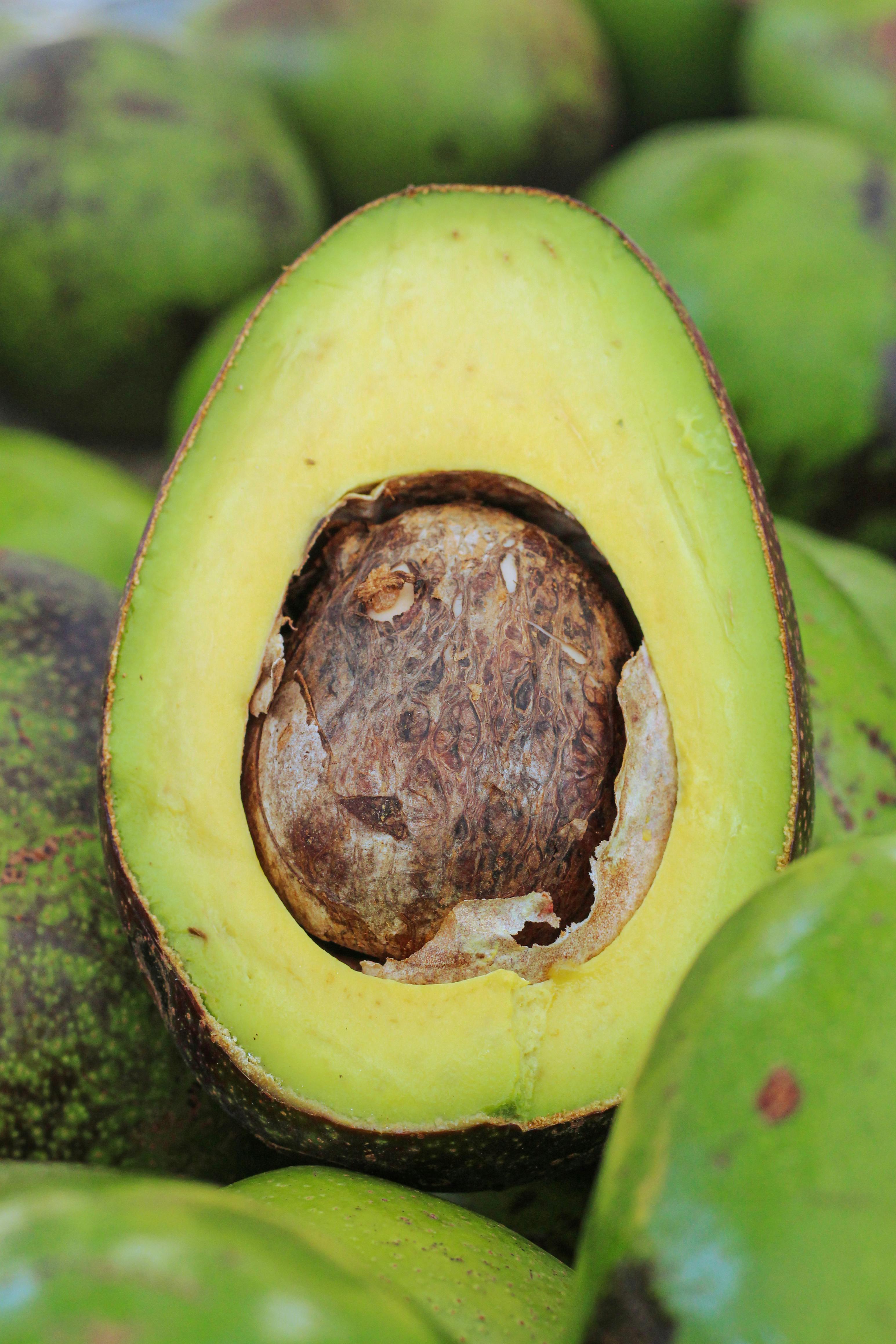 Smart Ways to Improve the E2M Diet for Successful Weight Loss in 2025
