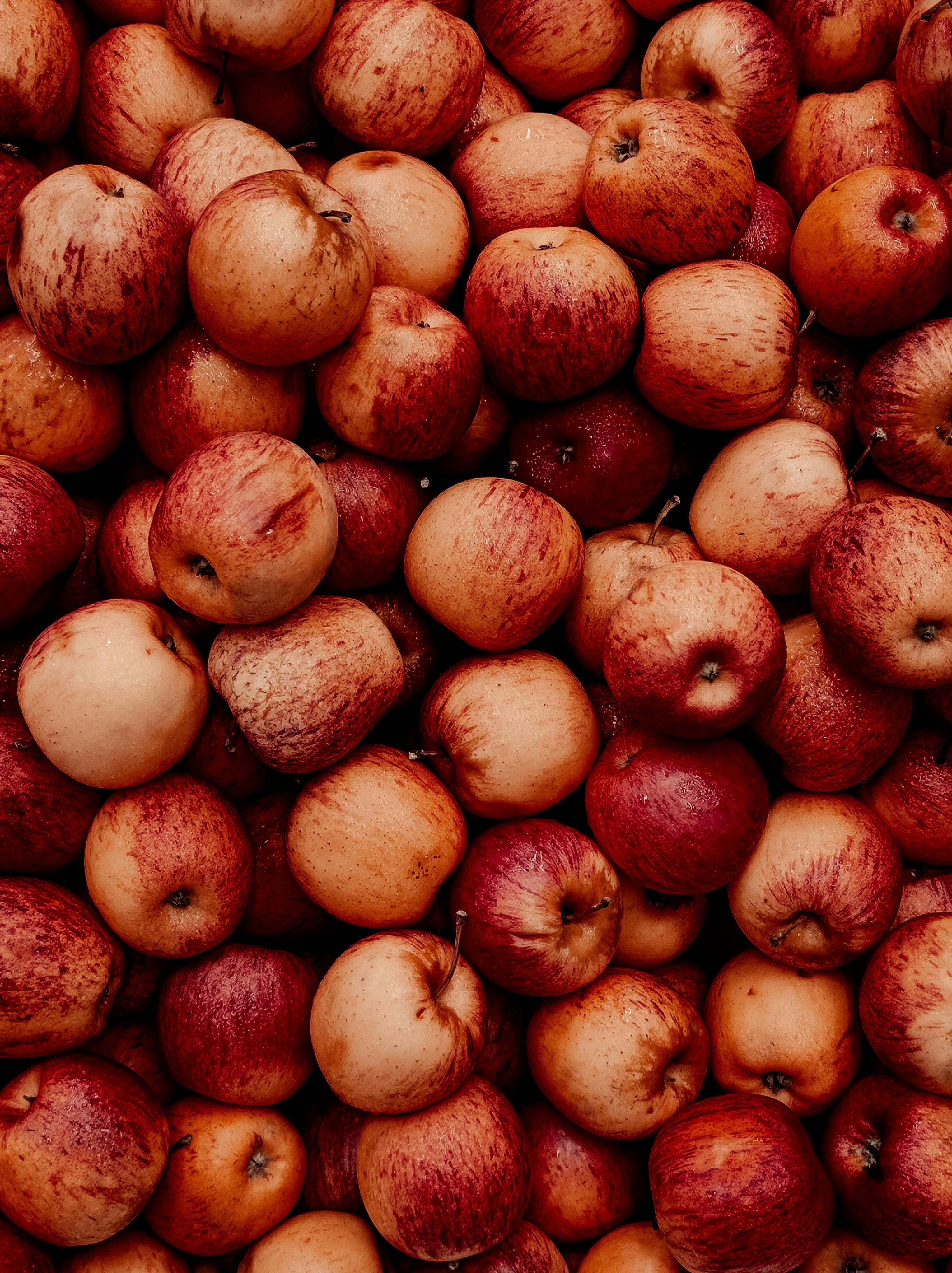 Semaglutide Meal Examples