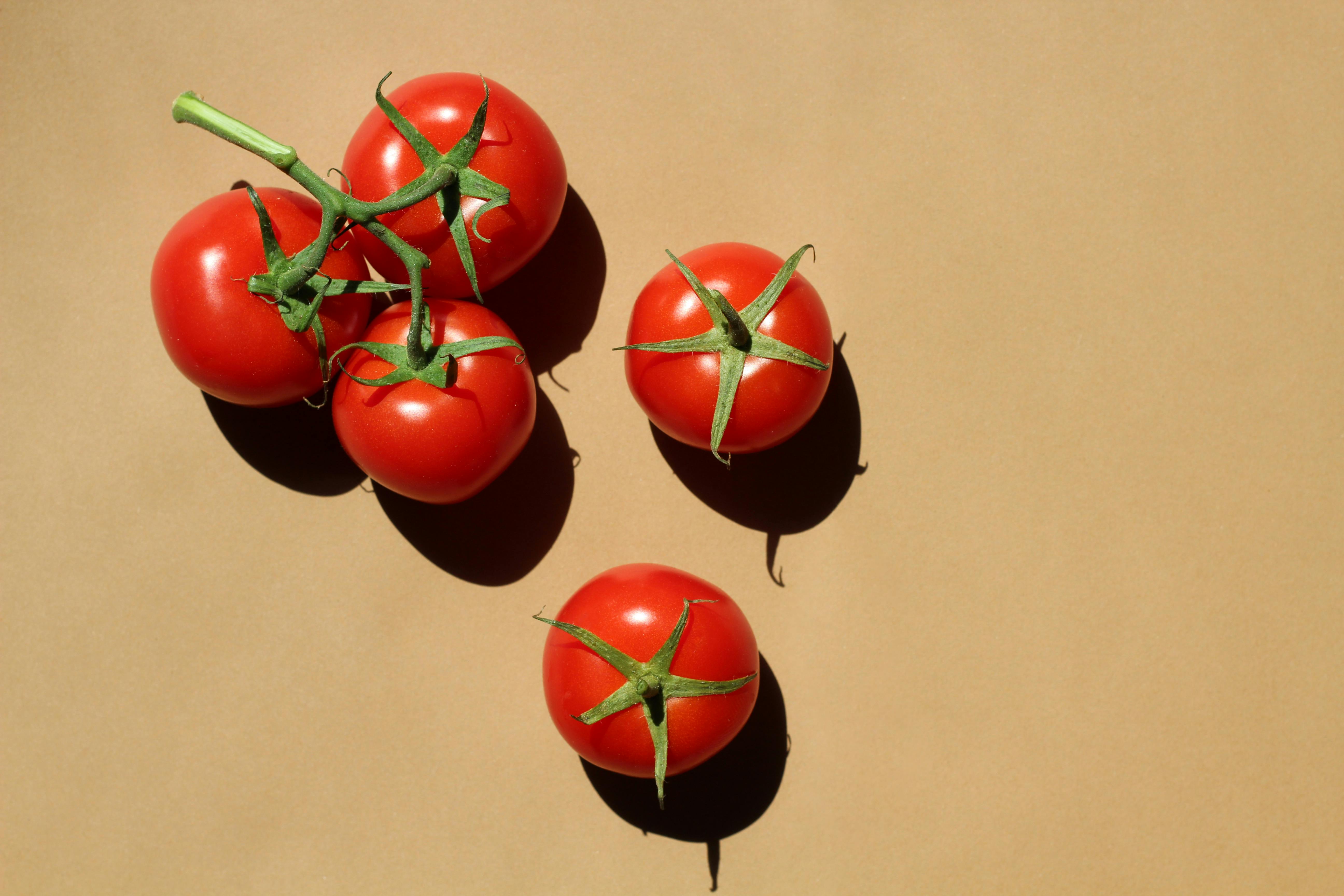 Effective 3-Month Pre-Bariatric Surgery Diet to Optimize Success