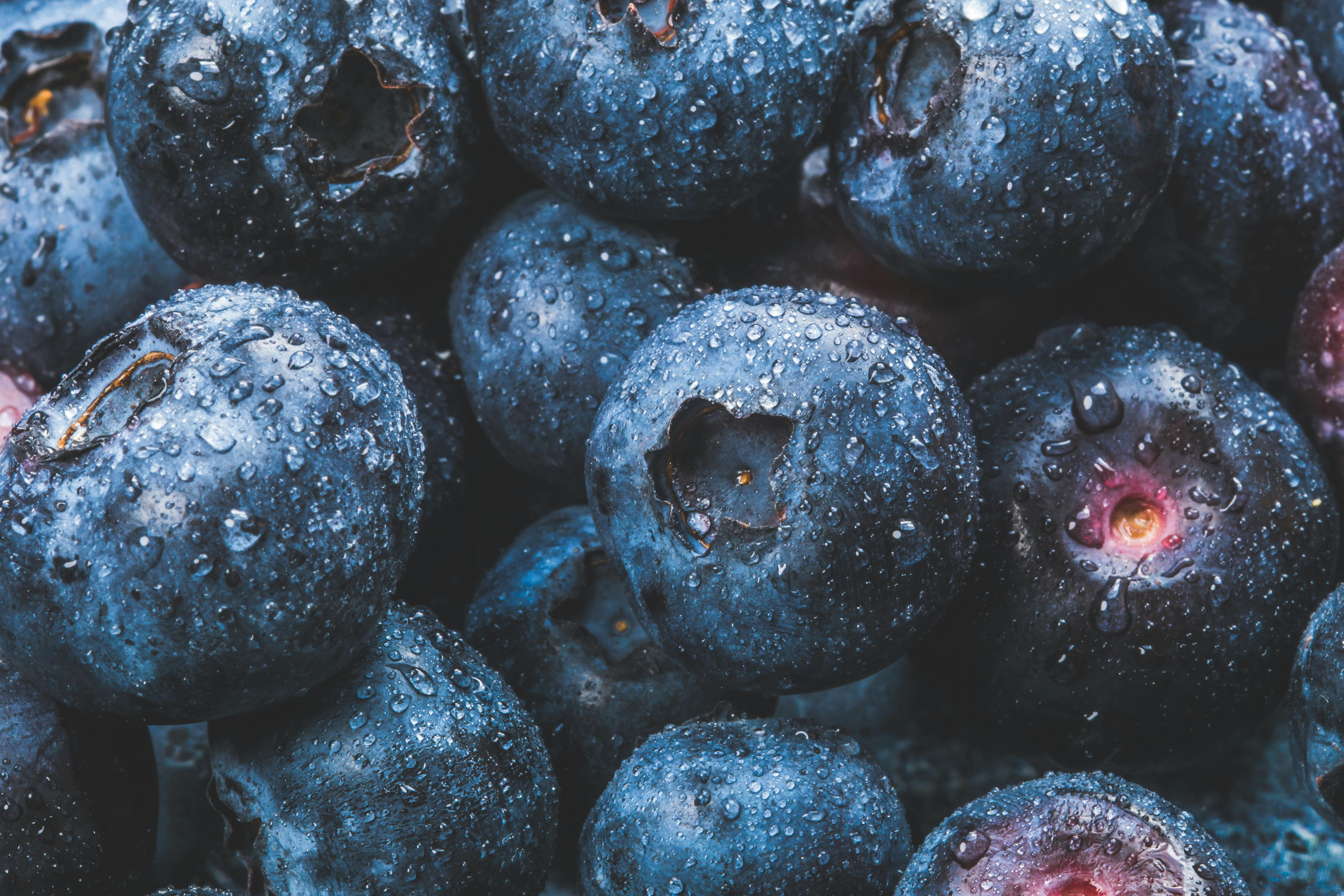 Practical Ways to Optimize Your 90-Day Carnivore Diet Results