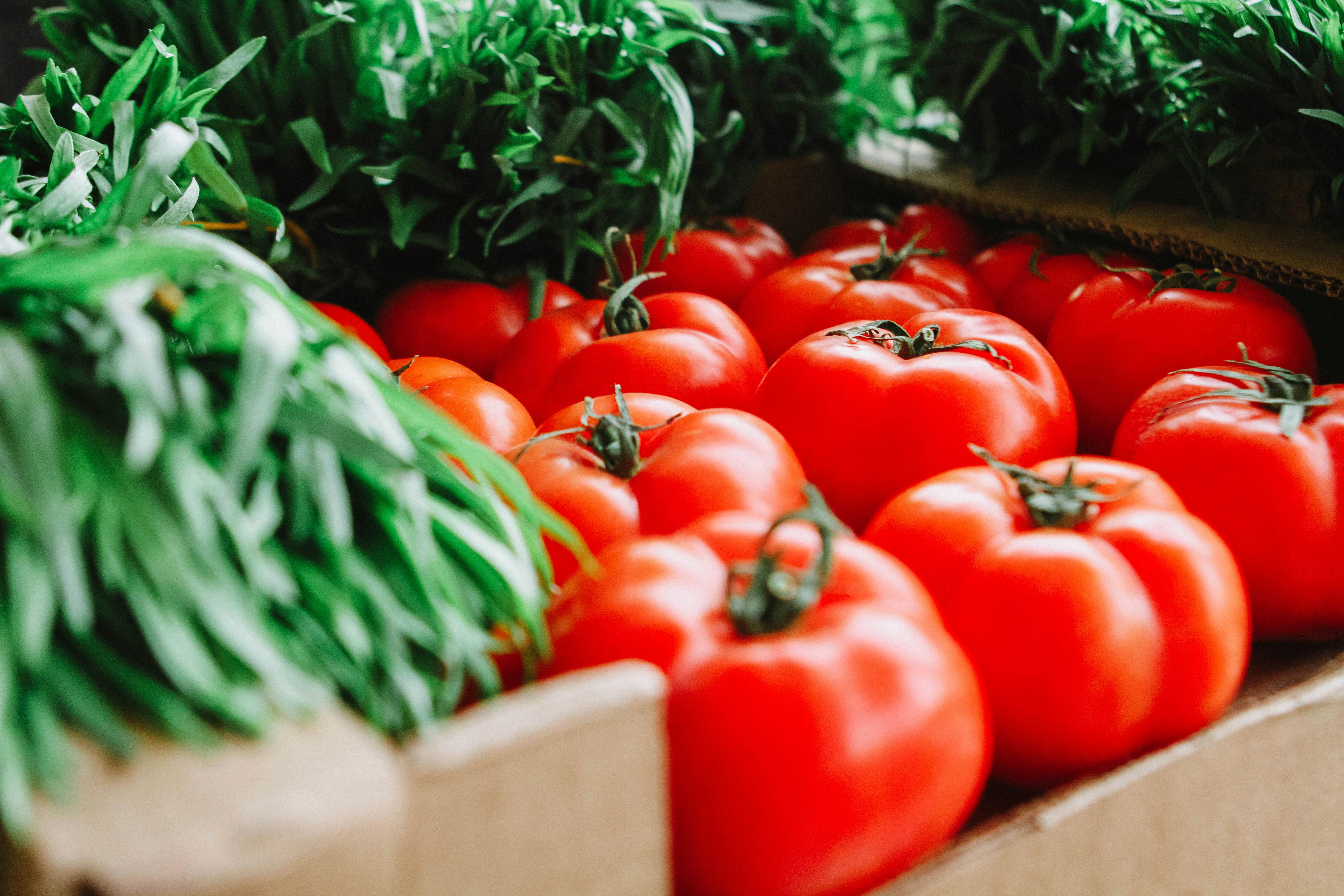 Effective 30-Day IBS Diet Plan to Improve Digestive Health in 2025