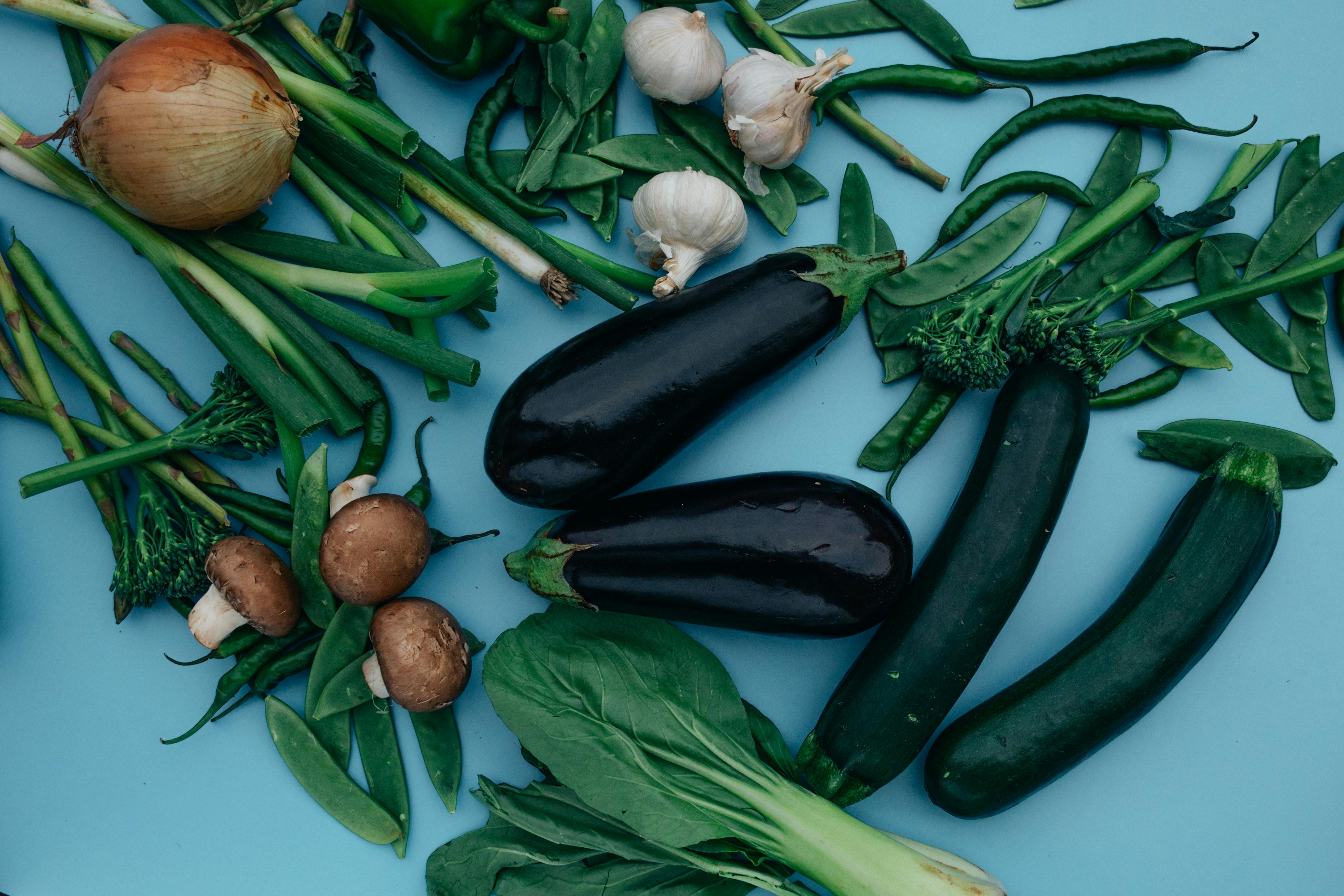 Effective Ways to Implement a Low Fat Diet for Dogs in 2025