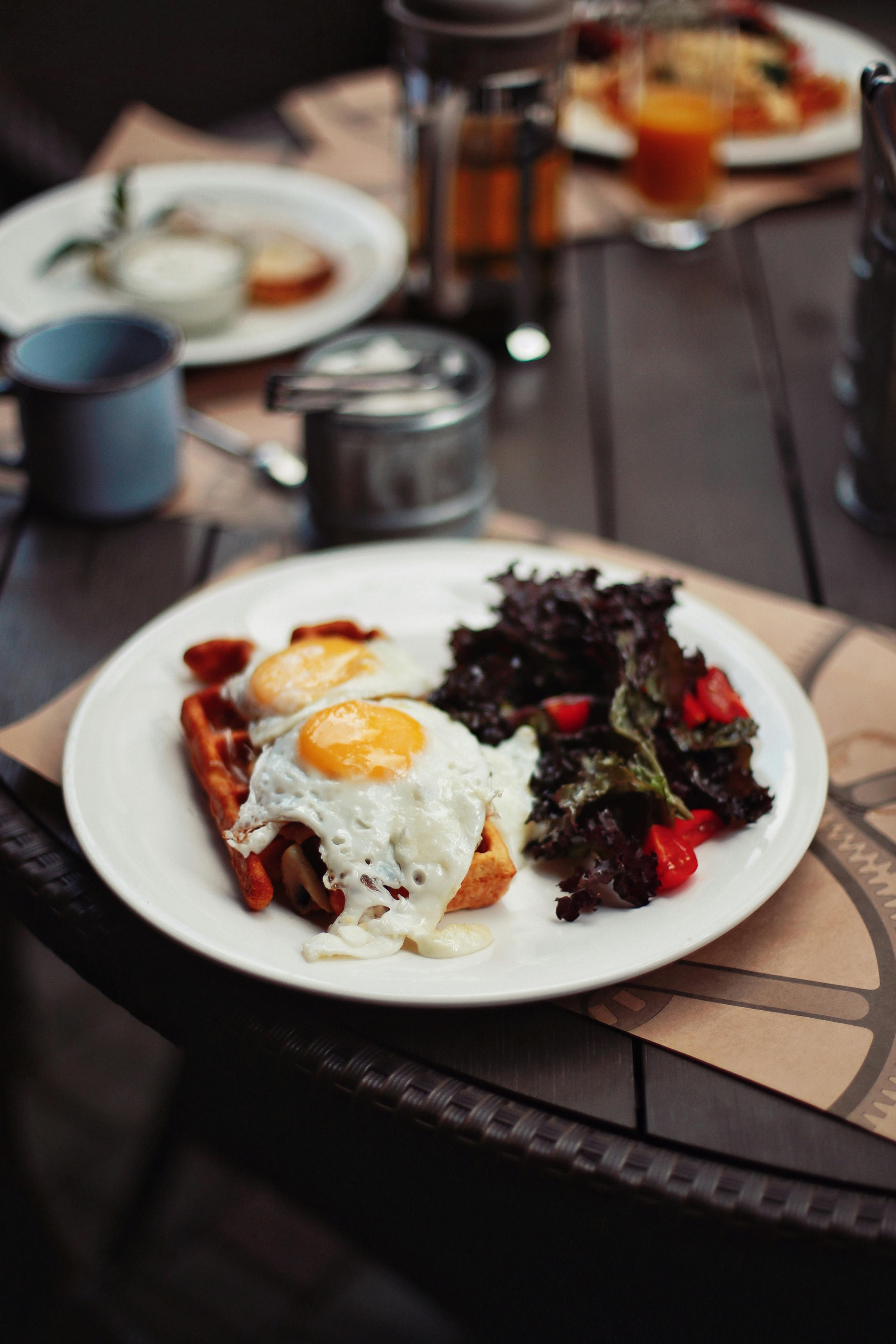 Smart Ways to Optimize Hill's Science Diet Small Bites in 2025