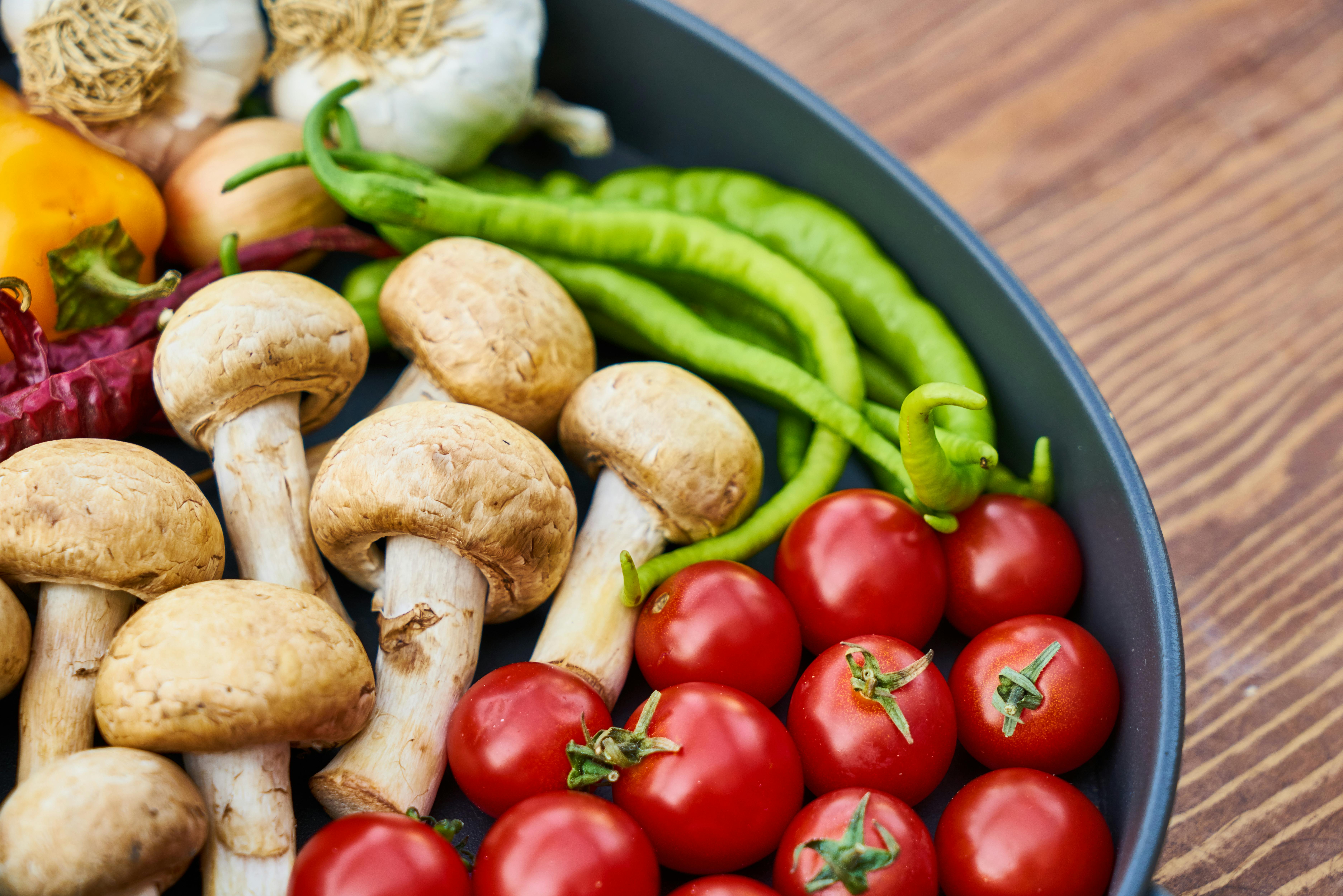 Is Science Diet Quality Dog Food? Explore the Best Choices for 2025!
