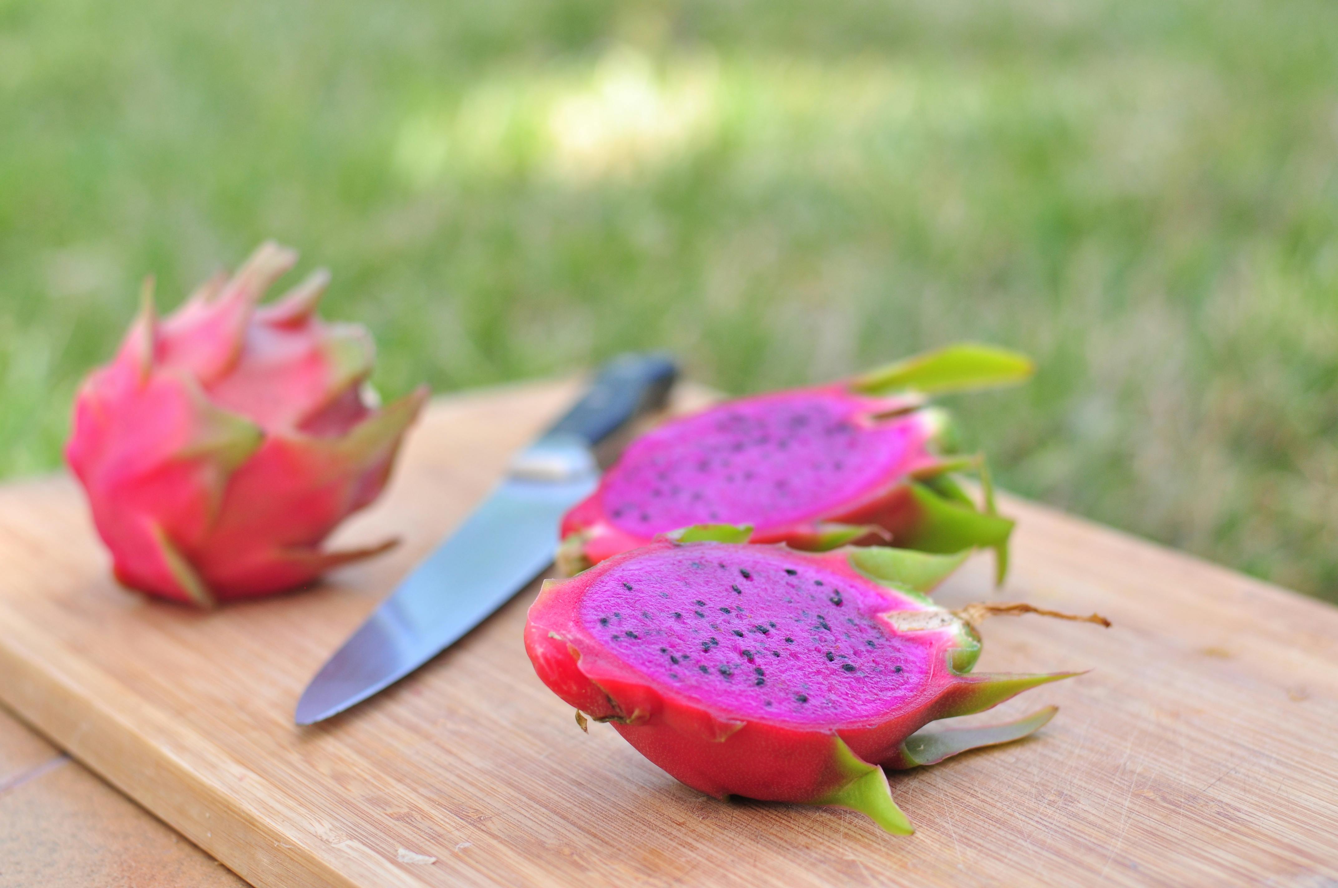 Explore the Key Differences Between Diet and Zero Sugar: Your 2025 Guide to Smart Choices!