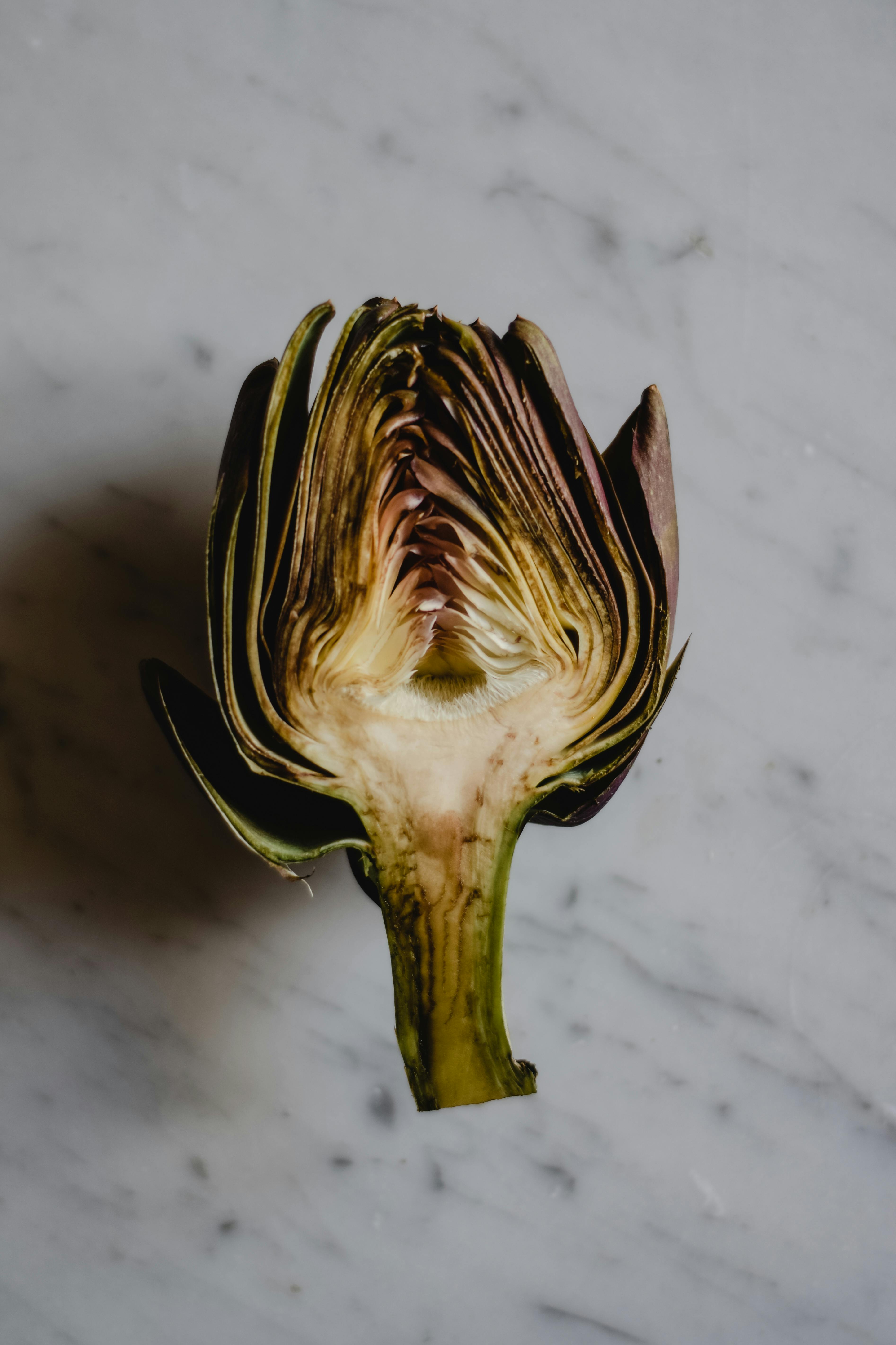 Carnivore Cuisine