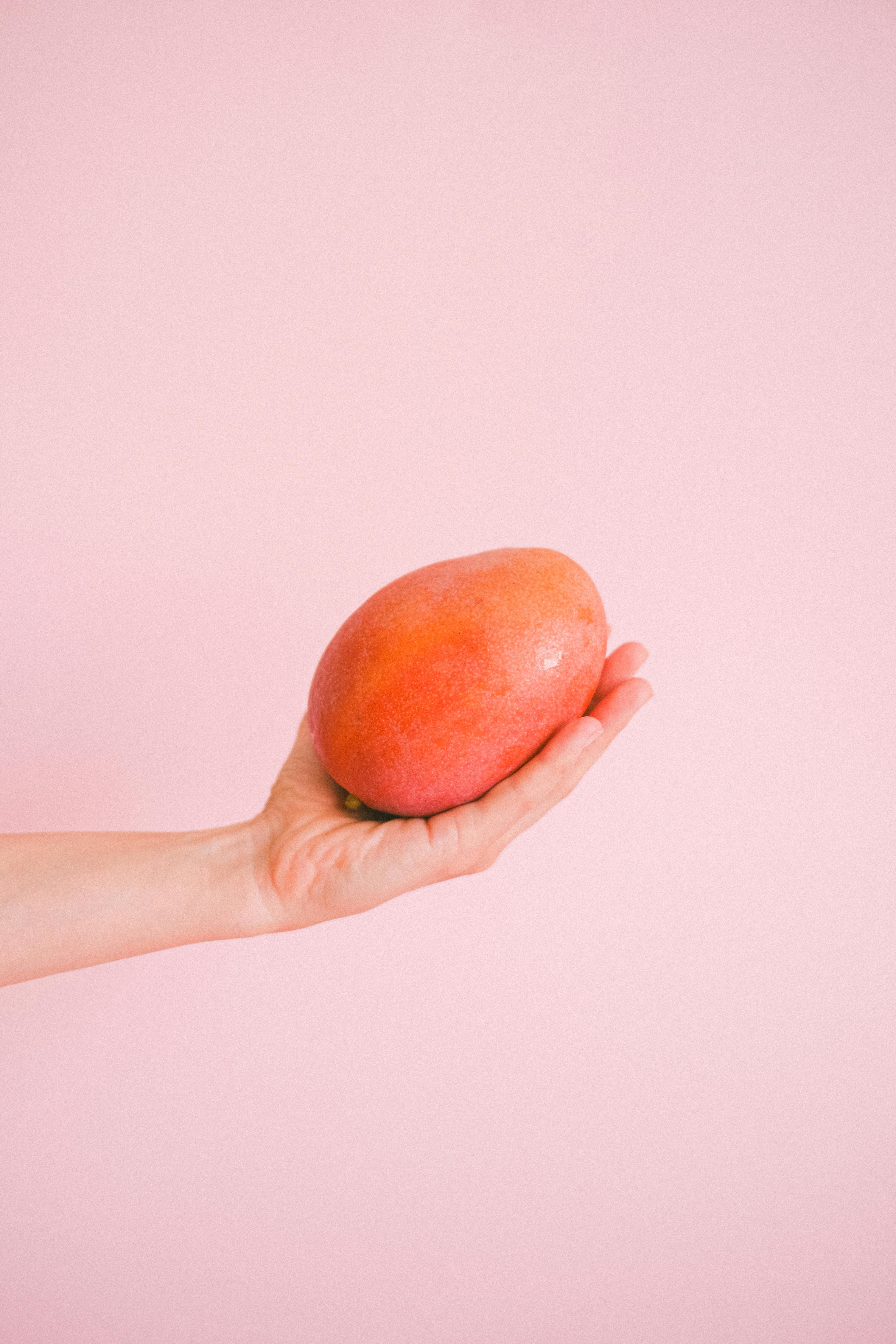 Smart Ways to Choose PetSmart Science Diet for Optimal Health