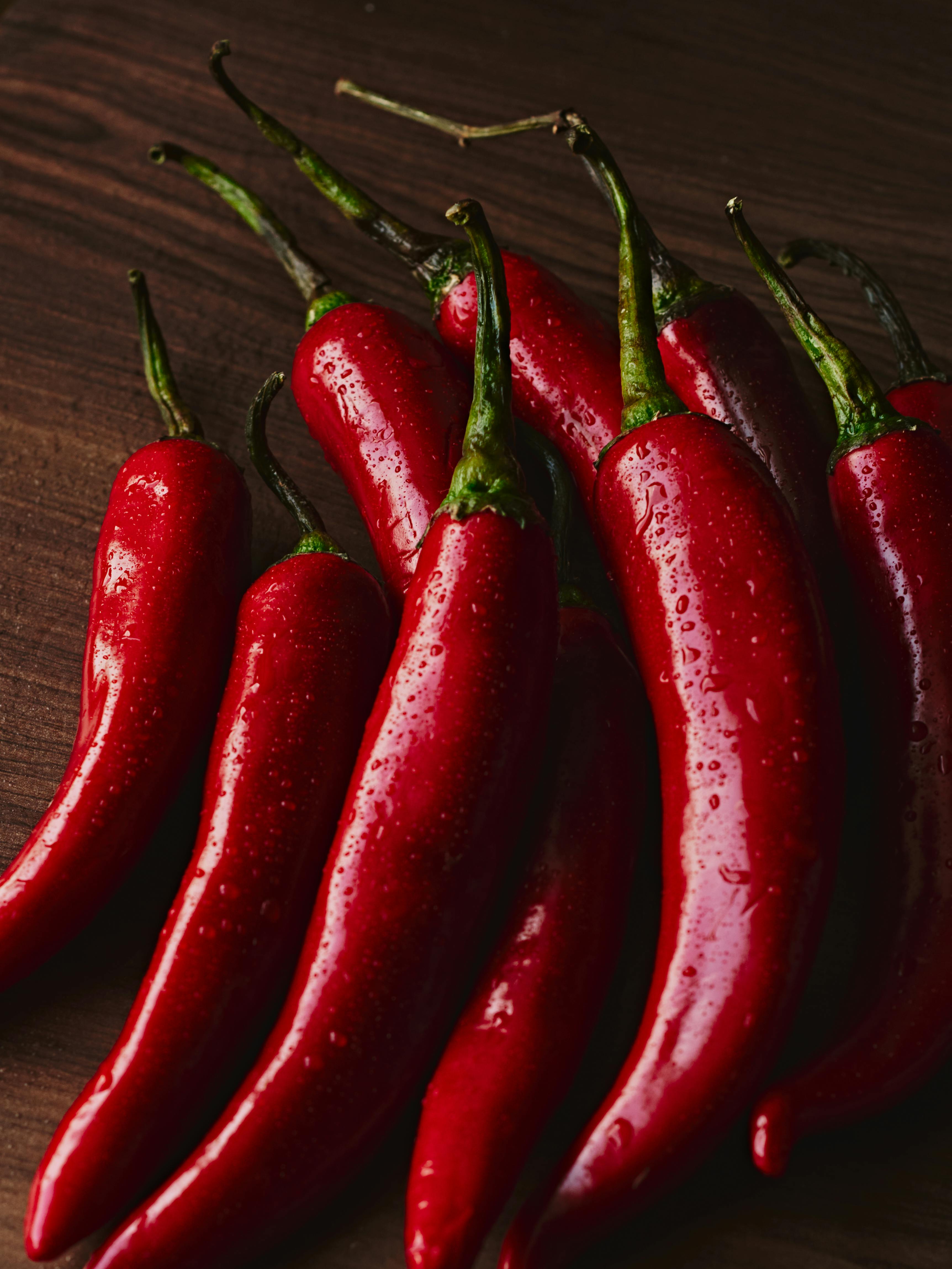 Best 5 Vertical Diet Solutions for Optimal Health in 2025