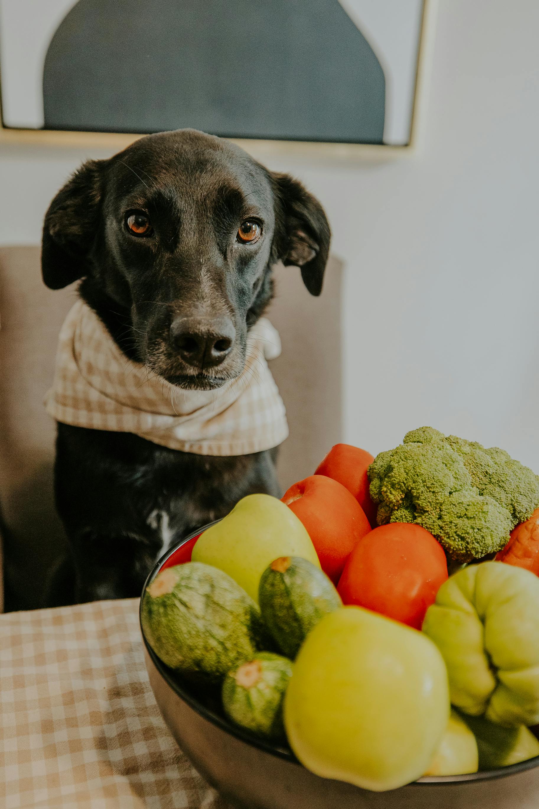 Smart Ways to Optimize Shrew Diet for Peak Health in 2025