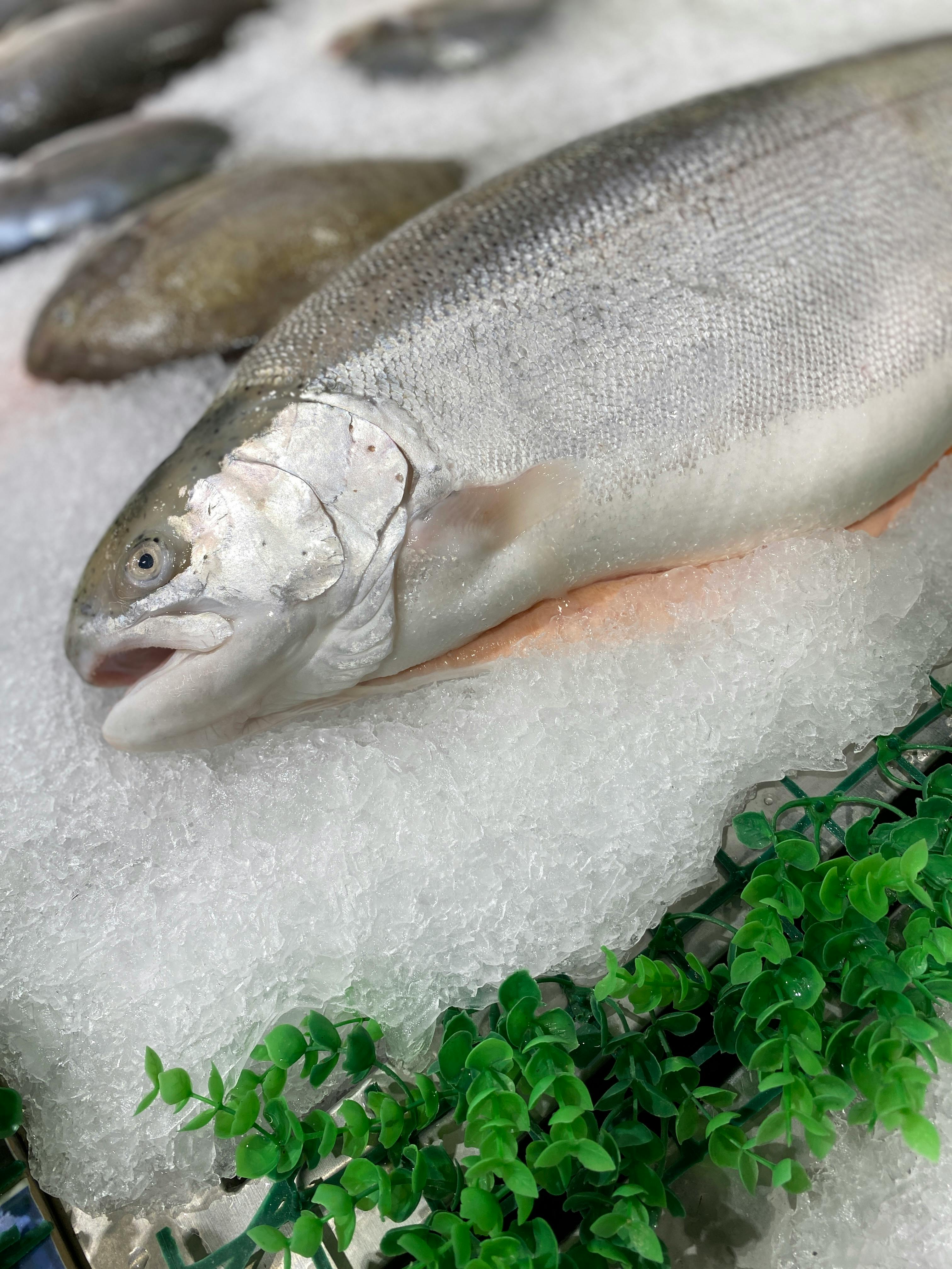 Effective Ways to Optimize Your Cyclical Ketogenic Diet in 2025