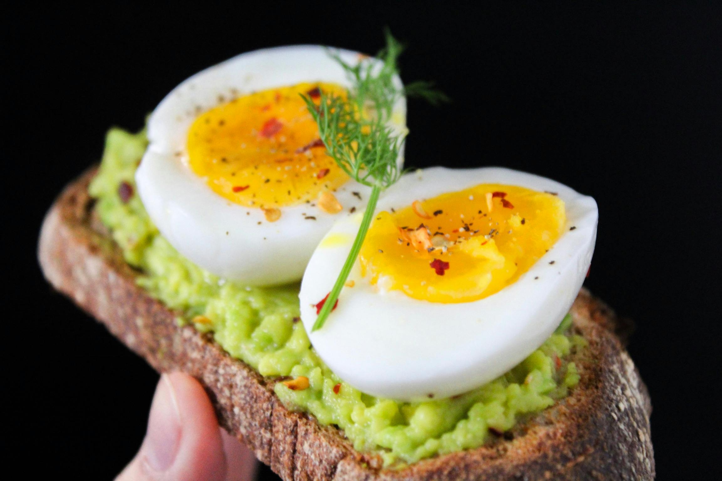 Animal-Based Diet Plan