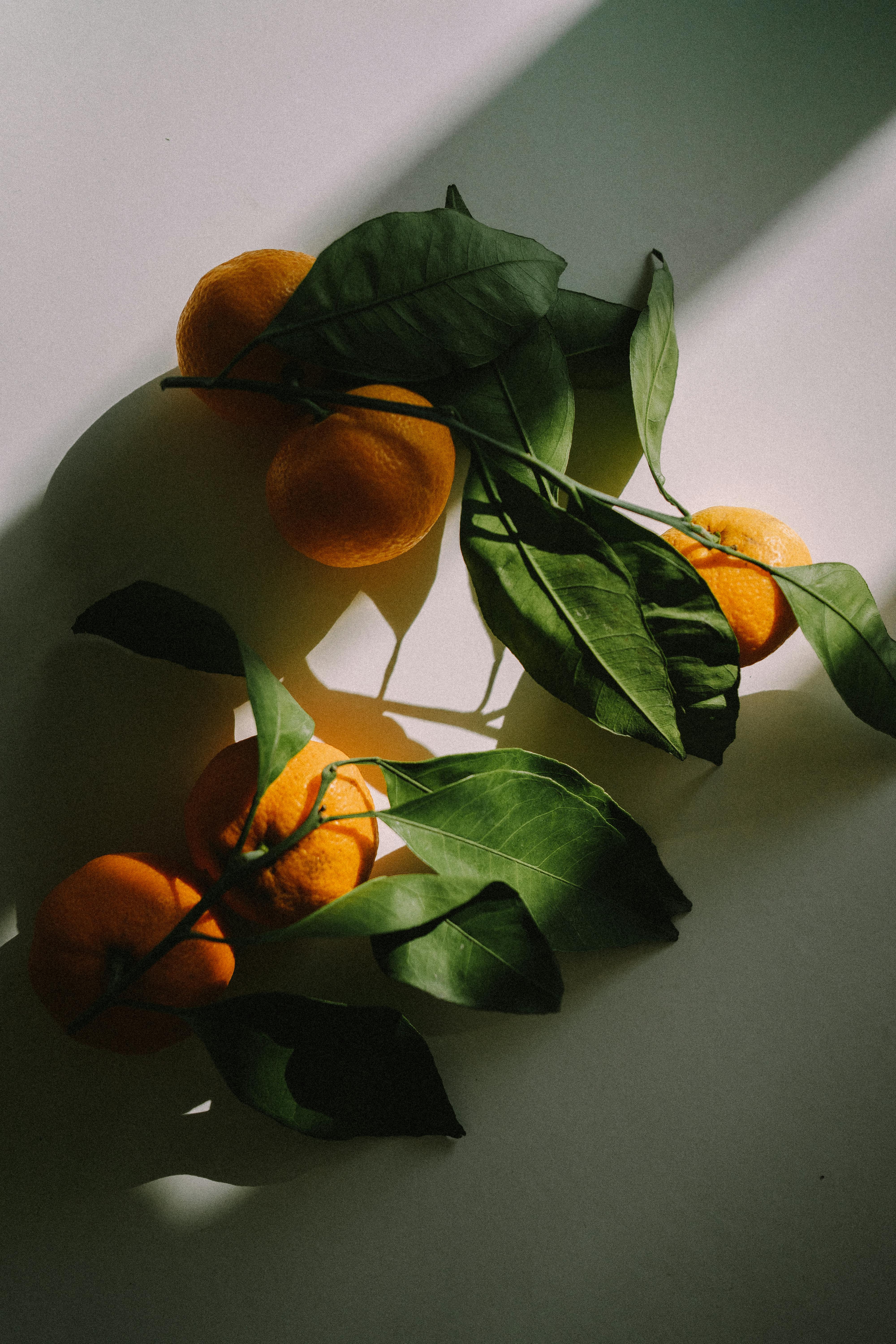 Effective 30-Day Plant-Based Diet Plan to Improve Health in 2025
